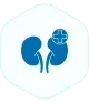 Urology